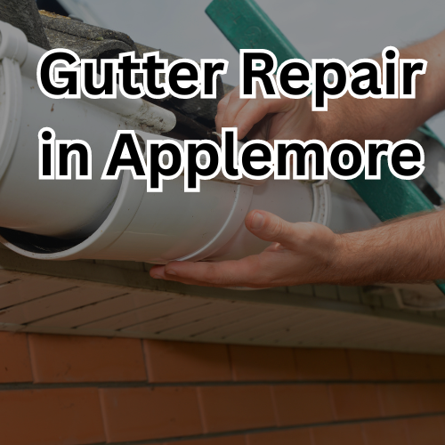 Gutter Repair in Applemore