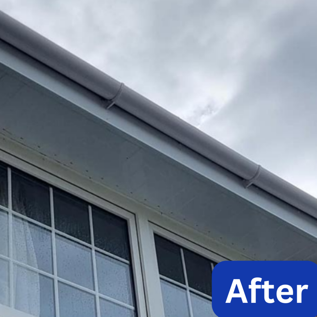 soffits and fascias cleaning