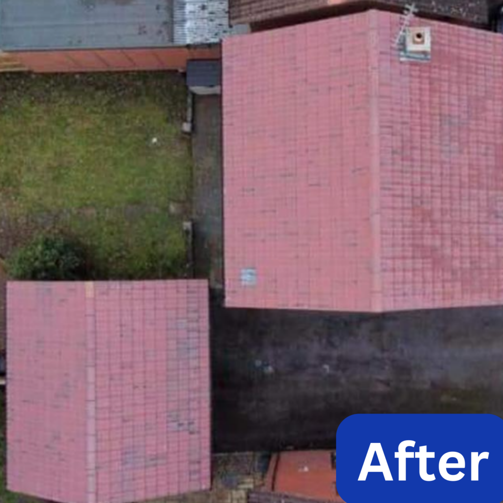 roof cleaning new forest