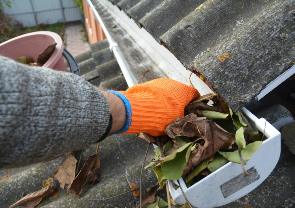 Gutter Cleaning