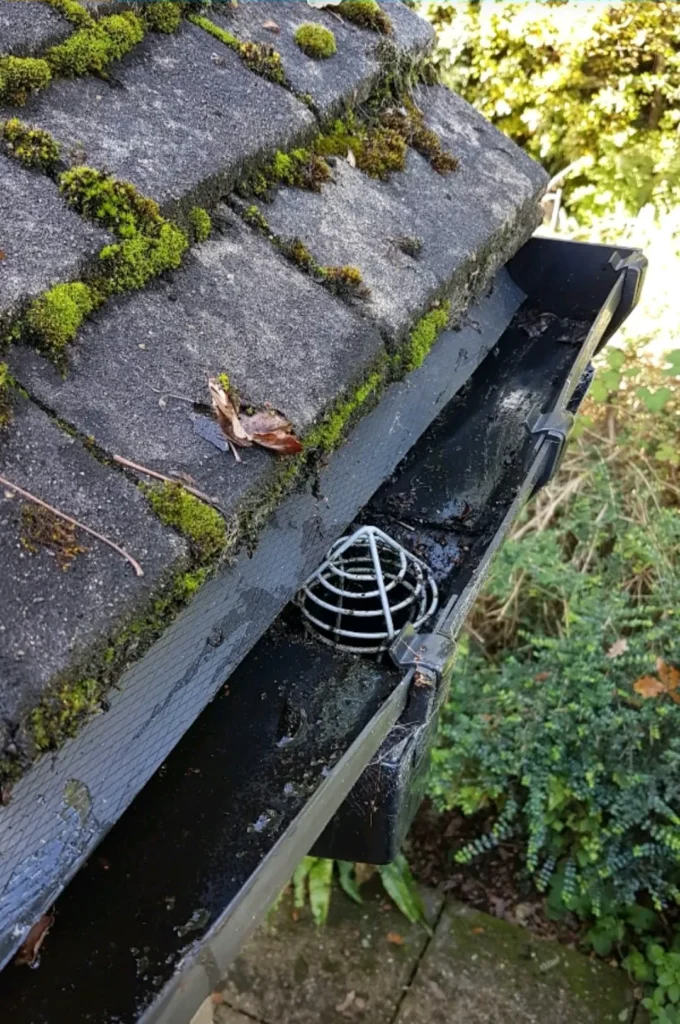 Gutter cleared and running, with the downpipe guard back in place.
